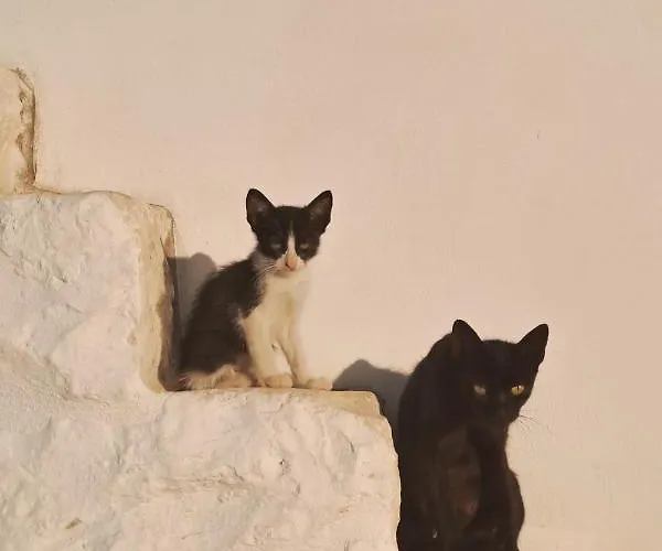 Nostos Trulli * Locorotondo