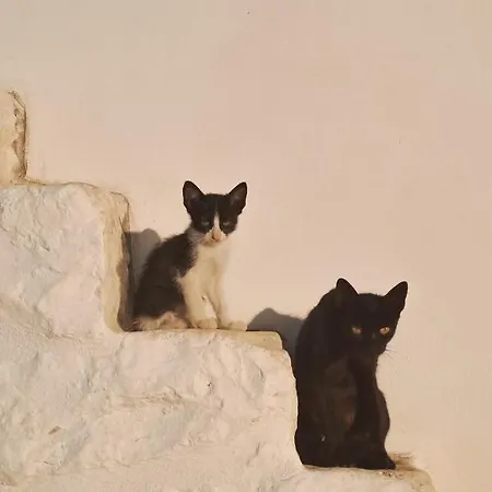 Nostos Trulli * لوكوروتوندو